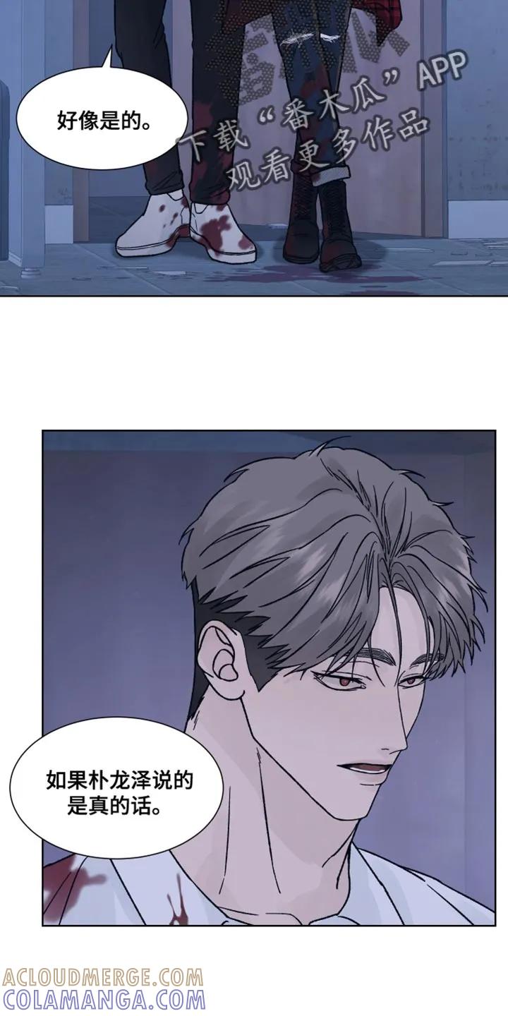 《狂夜追凶》第89章：【第二季】非常怀疑 第11页