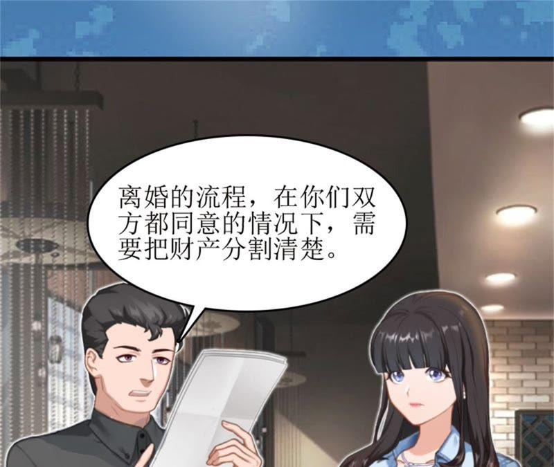 《误入婚途：叛逆娇妻不好惹》财产分割 第47页