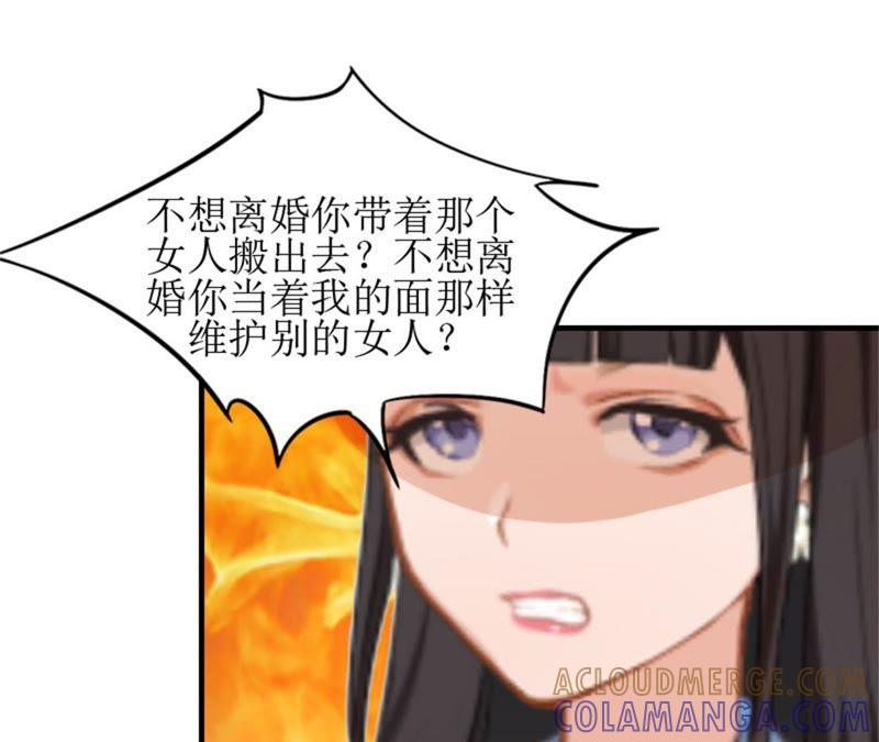 《误入婚途：叛逆娇妻不好惹》财产分割 第64页
