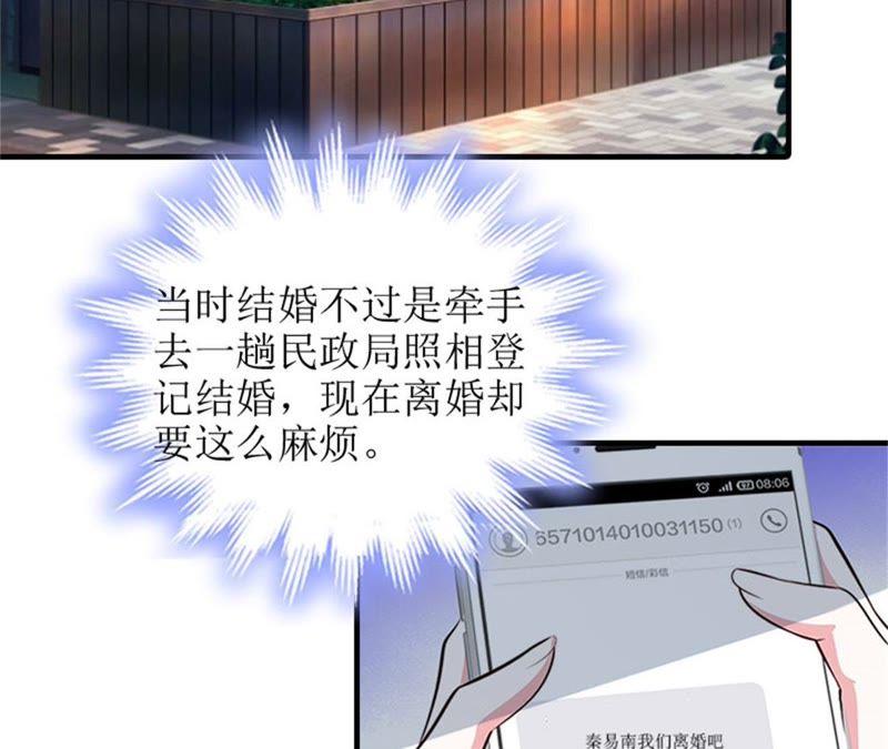 《误入婚途：叛逆娇妻不好惹》财产分割 第53页