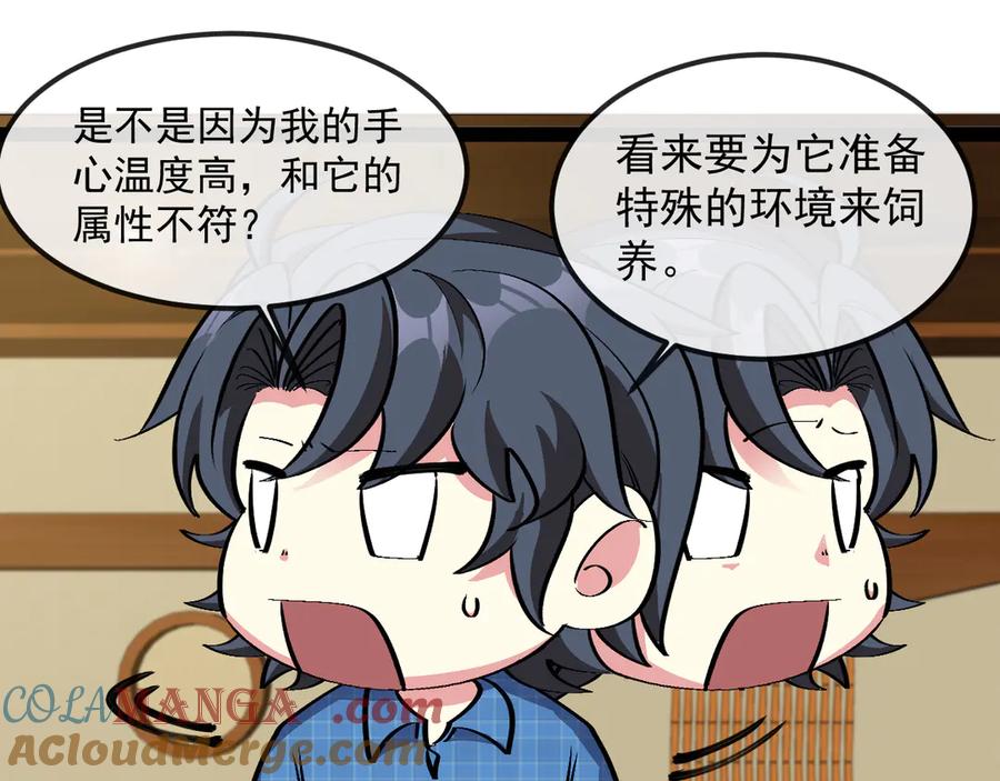 神级升级系统 第142话 冰晶小鸟 第37页
