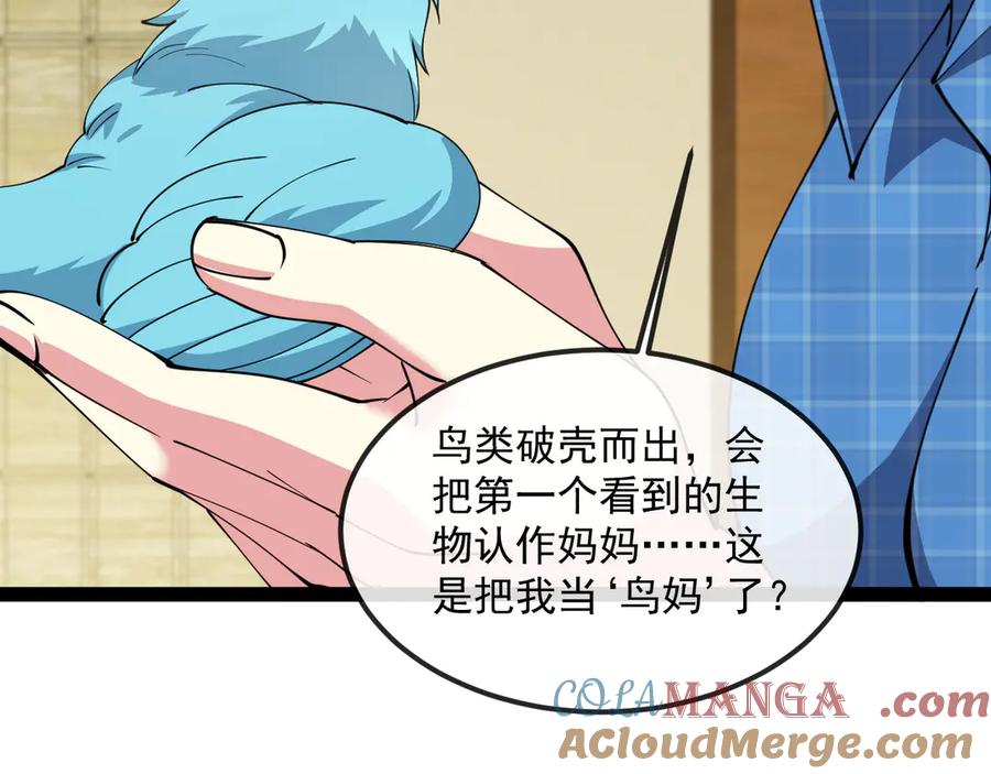 神级升级系统 第142话 冰晶小鸟 第33页
