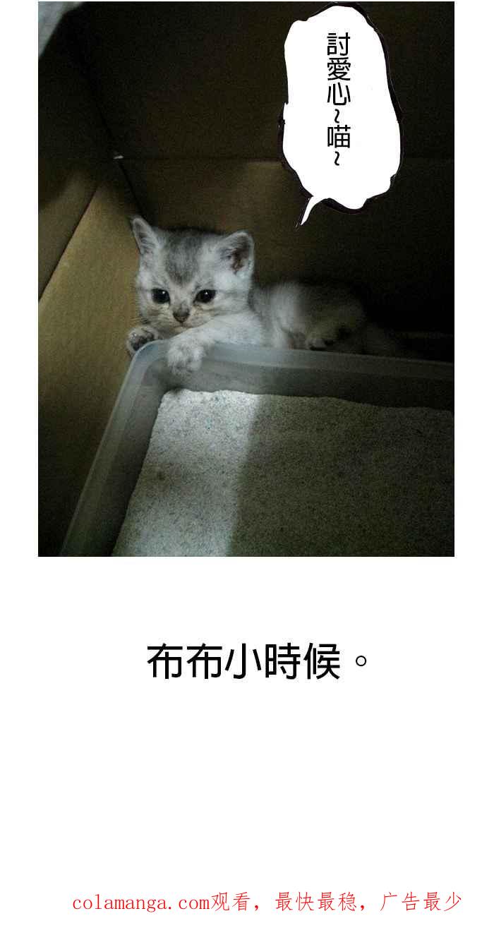 猫剑客 [第59话] 折翼天使 贰，光束飘神3000！ 第40页