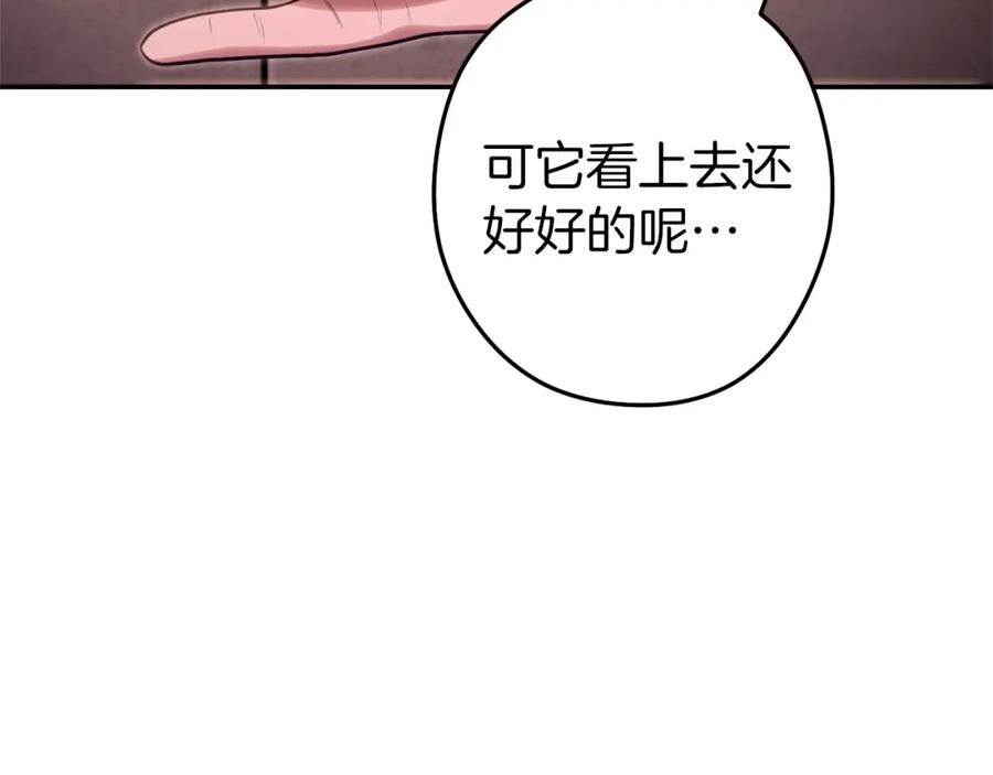 重启地下城 第129话 身世成谜的兔子 第30页