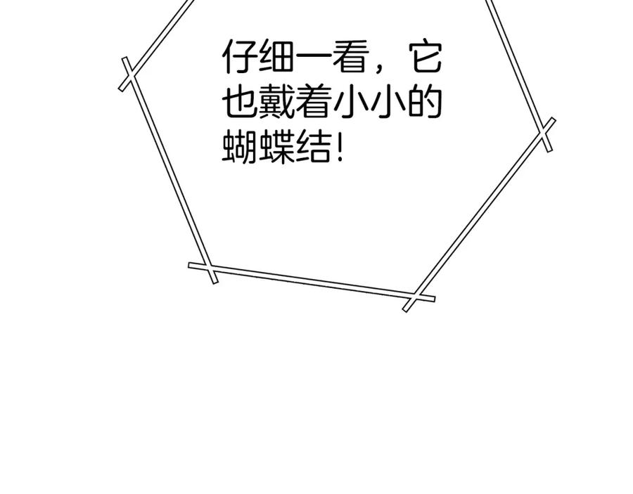 重启地下城 第129话 身世成谜的兔子 第58页