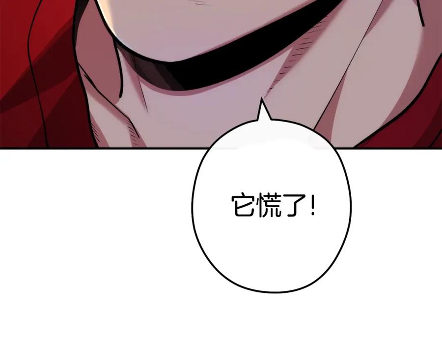 重启地下城 第134话 第三阶段小助手 第156页