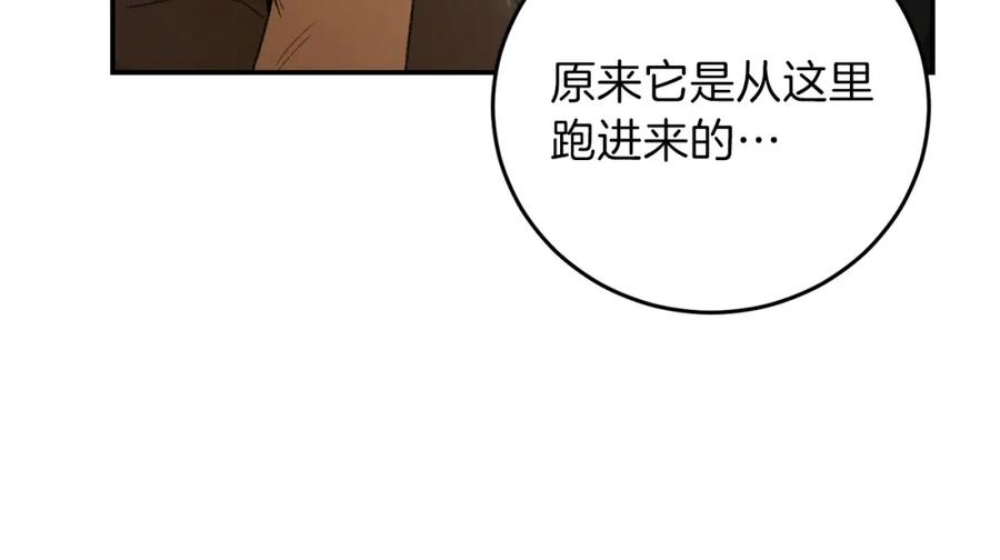 重启地下城 第11话 逃出生天 第47页