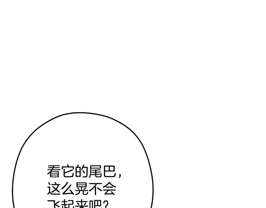 重启地下城 第137话 什么？你让我管理第一阶段？ 第162页