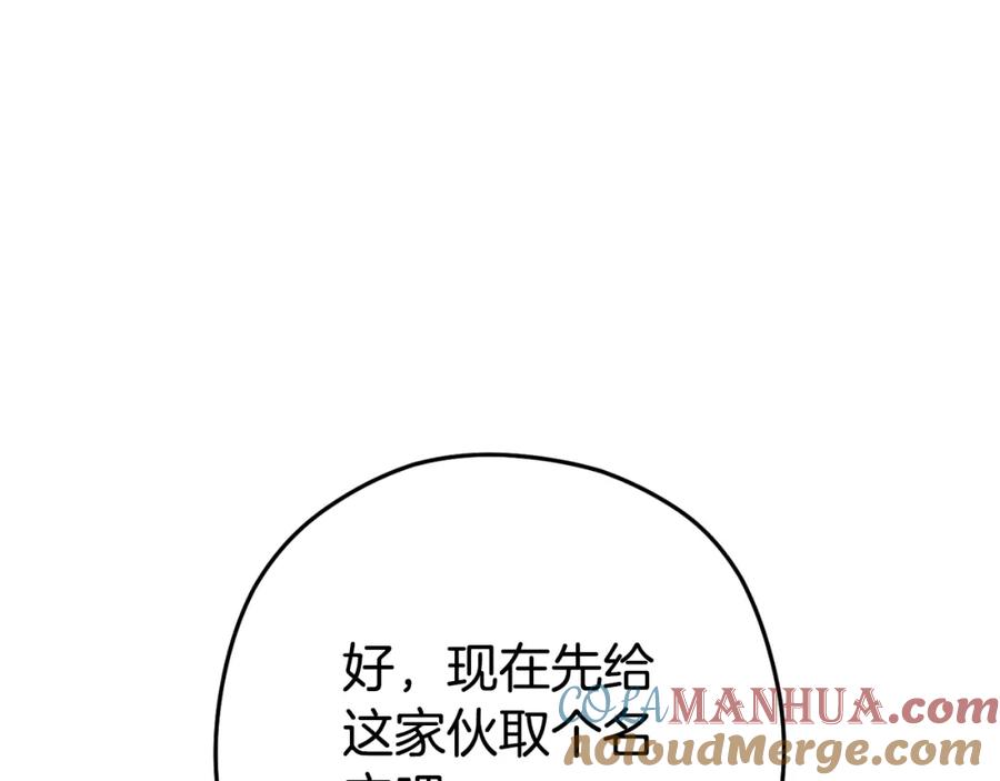 重启地下城 第164话 呜啊！魔法猫猫！mua！ 第177页
