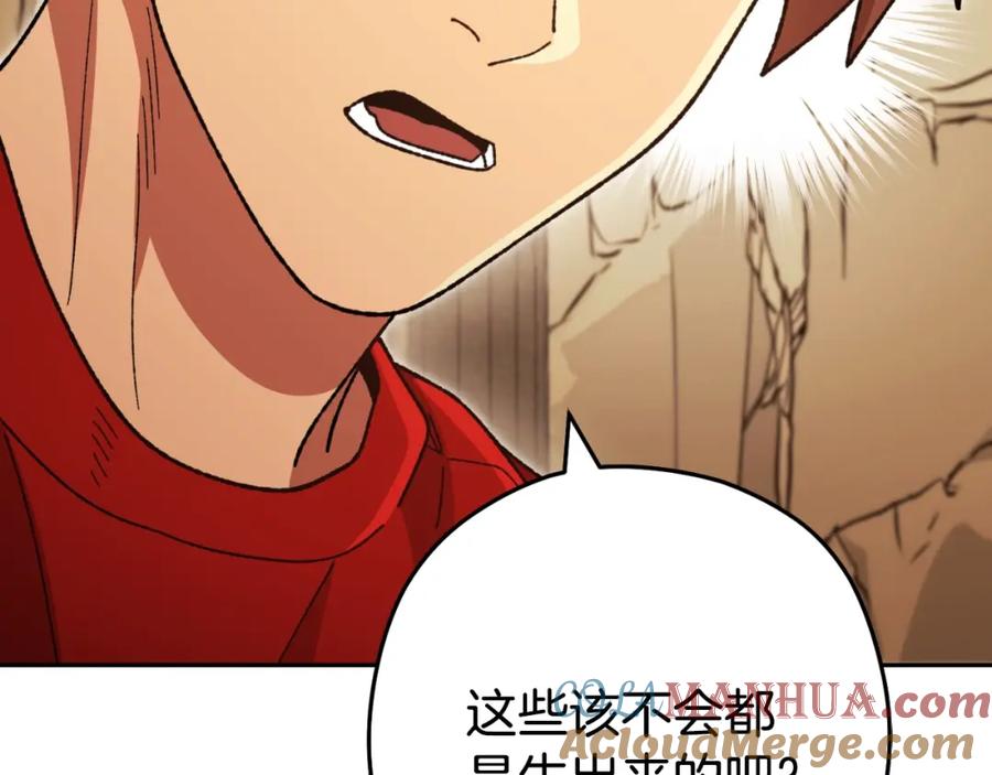重启地下城 第166话 绝妙的办法 第13页