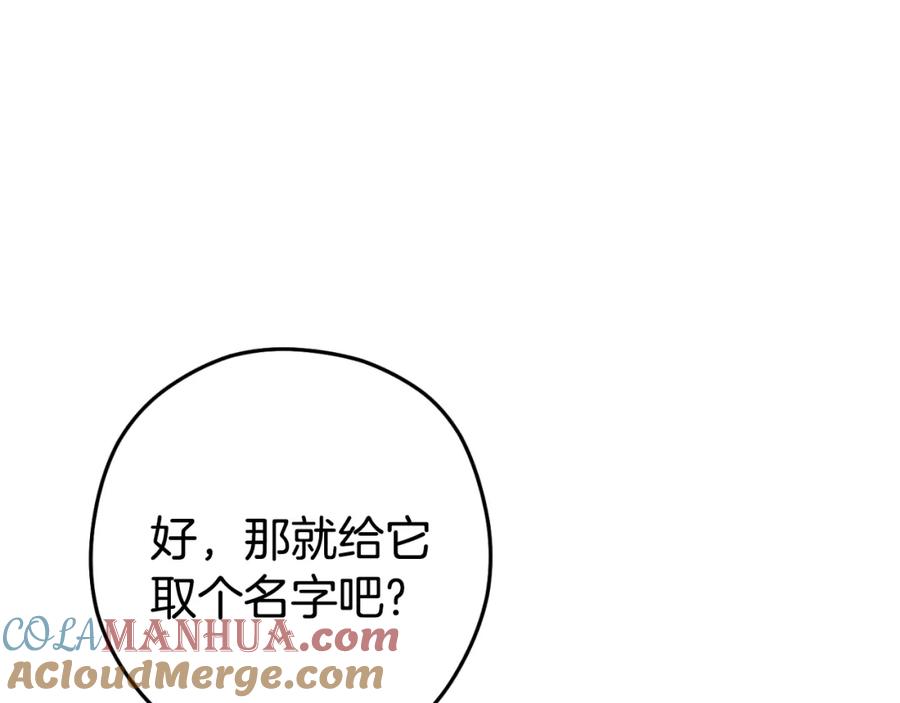 重启地下城 第166话 绝妙的办法 第25页