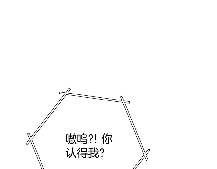 重启地下城 第173话 你好！小猫 第131页