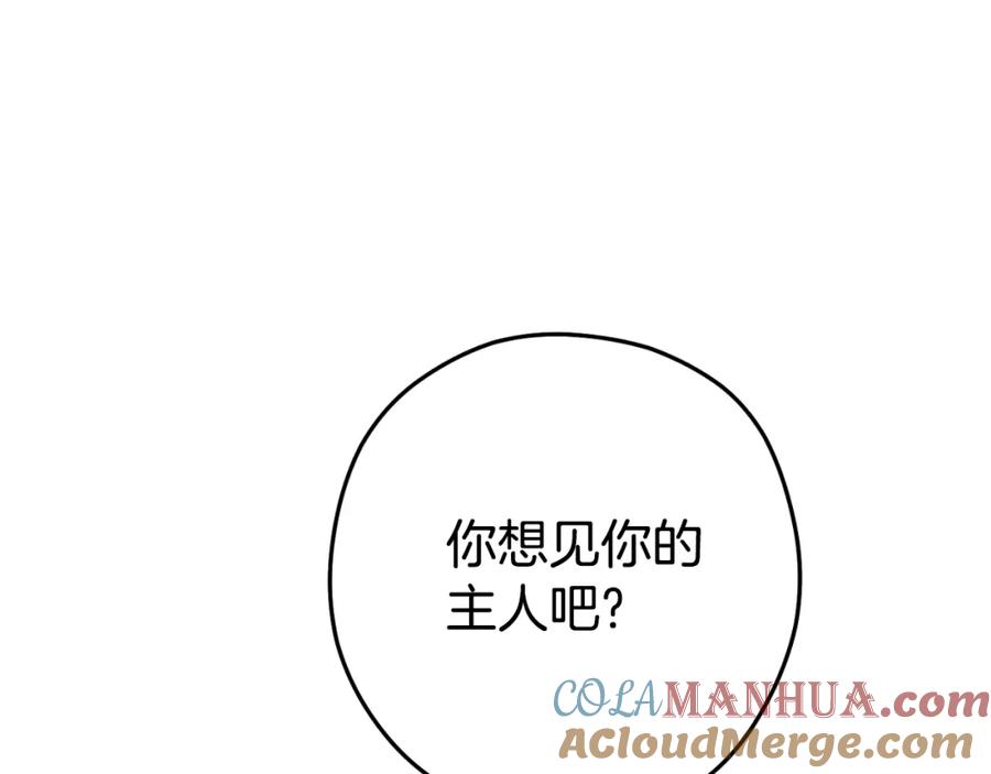 重启地下城 第173话 你好！小猫 第169页