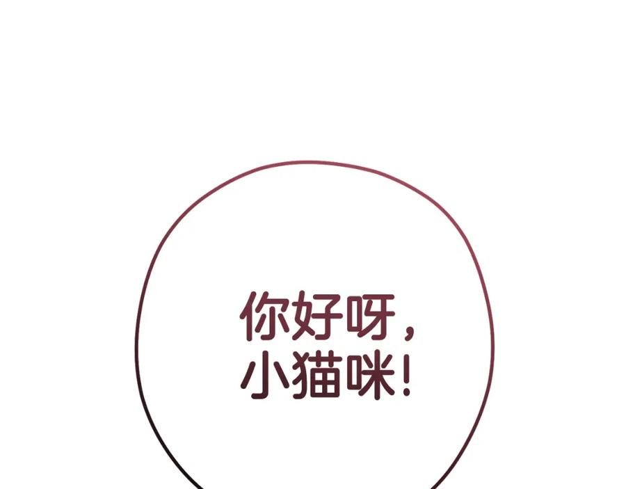 重启地下城 第173话 你好！小猫 第247页
