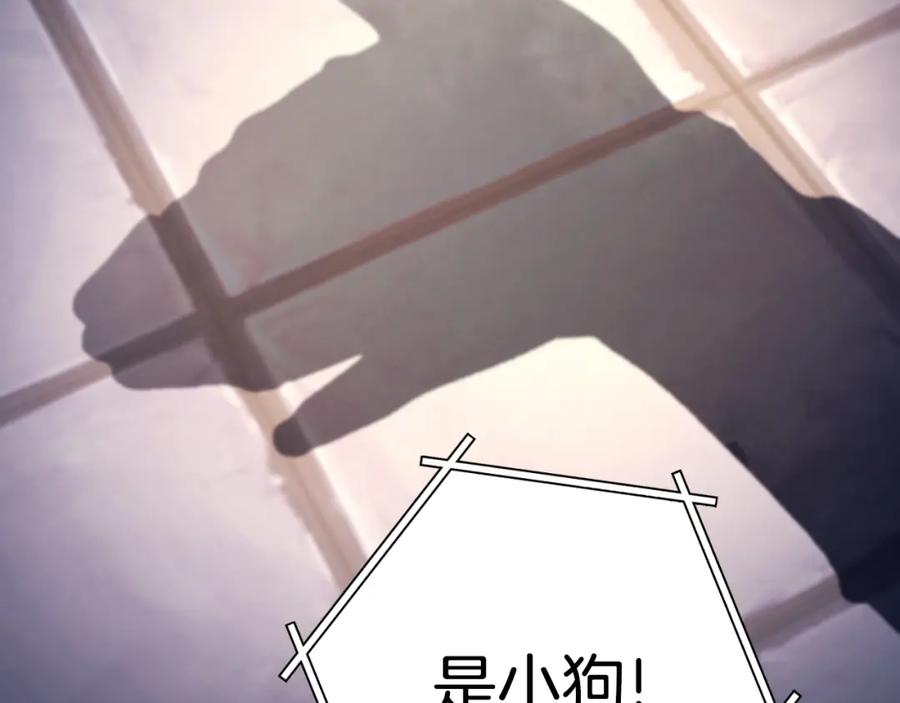 重启地下城 第175话 影子形态 第158页