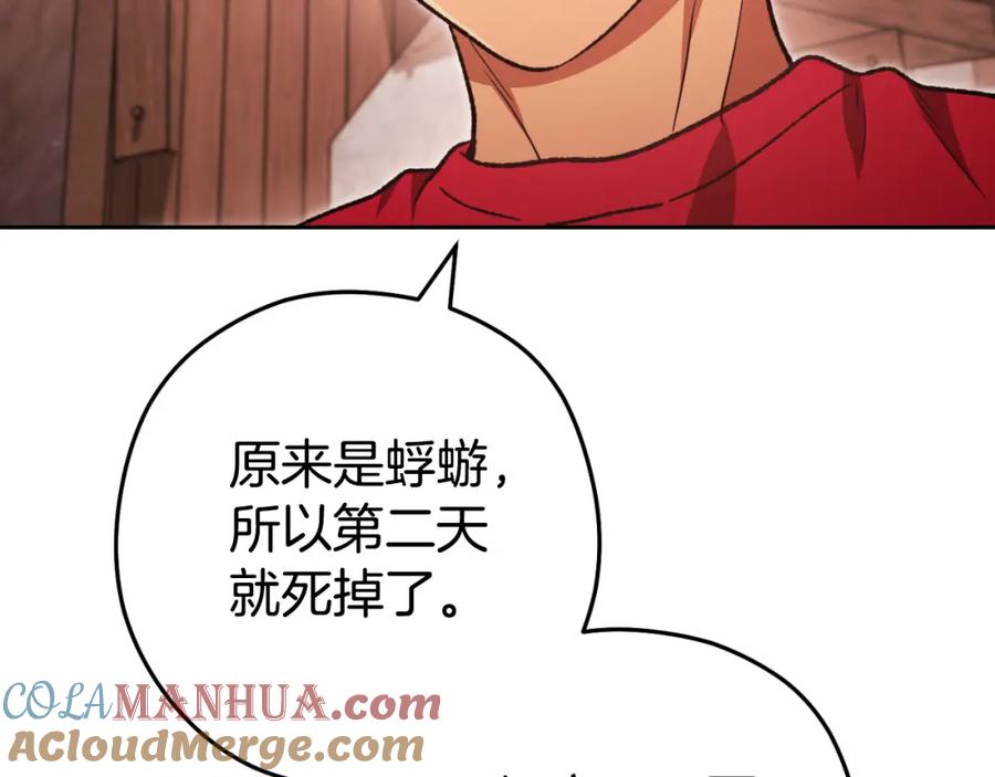 重启地下城 第177话 白发男人 第201页