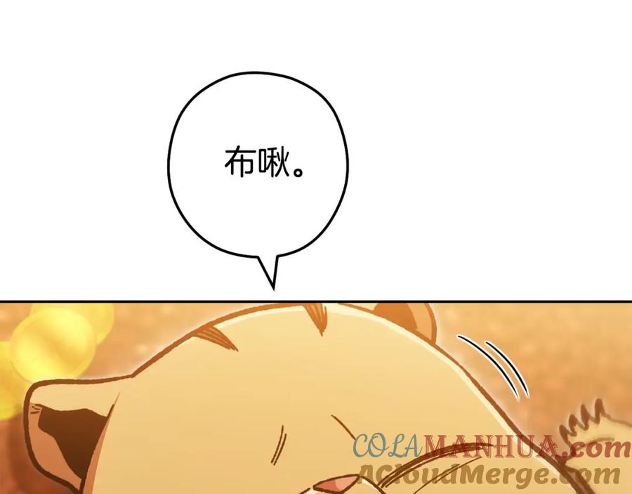 重启地下城 第183话 终极遗址 第17页