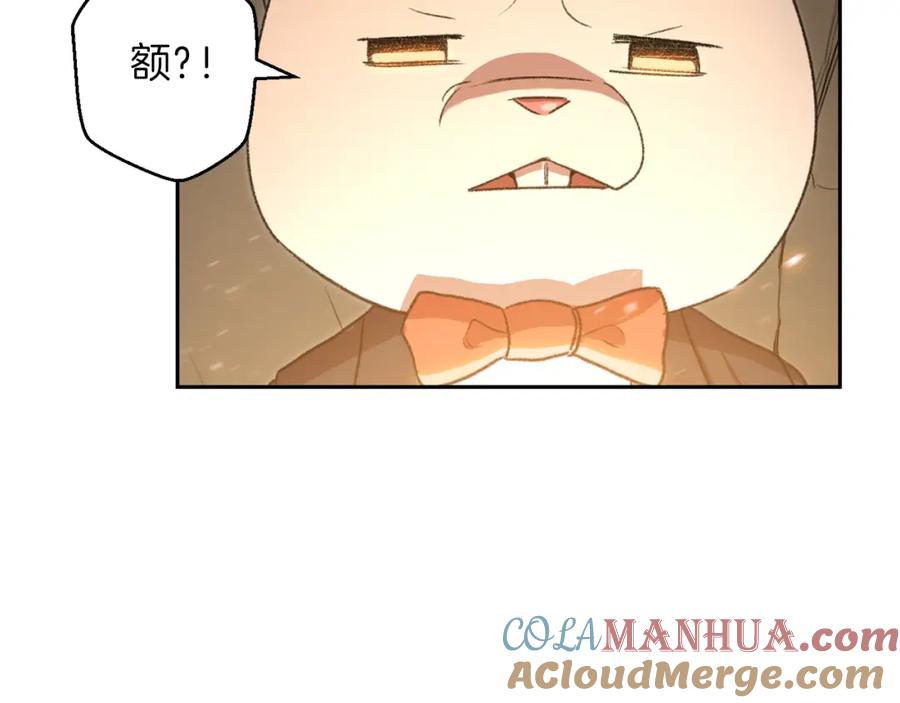 重启地下城 第6话 战斗吧！辅助！ 第5页