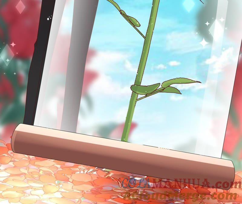 《宠妻狂魔：百万千金要沦陷》第100话 为你种的玫瑰 第76页