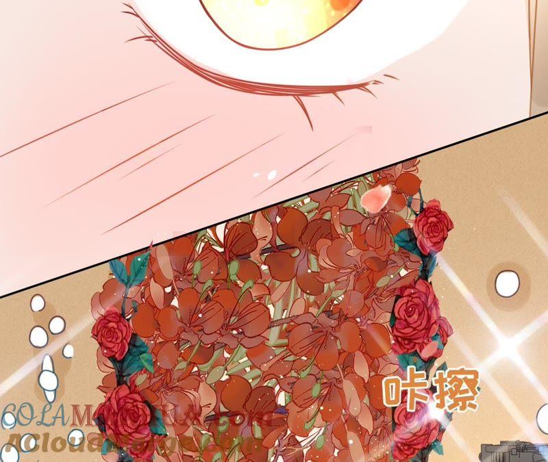 《宠妻狂魔：百万千金要沦陷》第100话 为你种的玫瑰 第70页