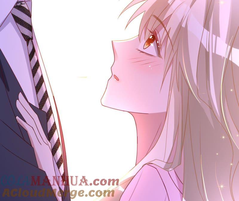 《宠妻狂魔：百万千金要沦陷》第100话 为你种的玫瑰 第82页