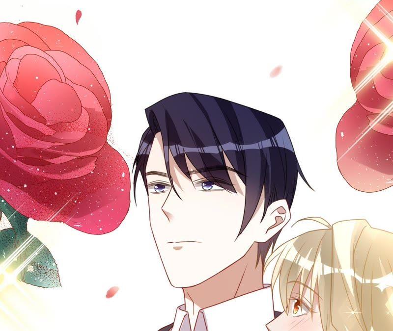 《宠妻狂魔：百万千金要沦陷》第100话 为你种的玫瑰 第66页