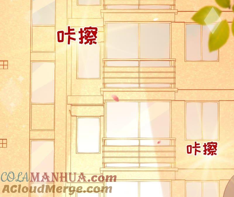 《宠妻狂魔：百万千金要沦陷》第100话 为你种的玫瑰 第55页