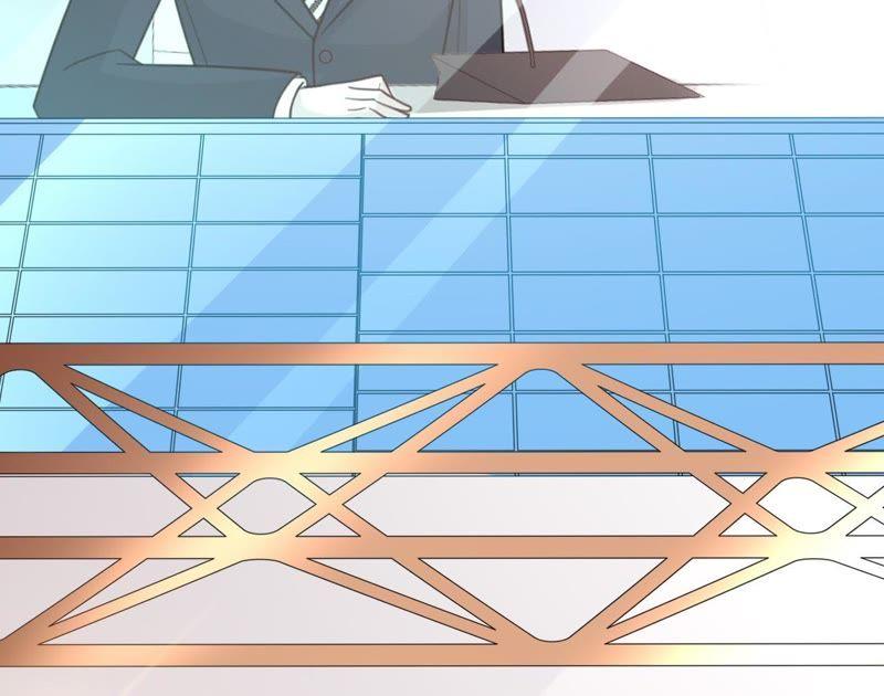 《宠妻狂魔：百万千金要沦陷》第100话 为你种的玫瑰 第17页