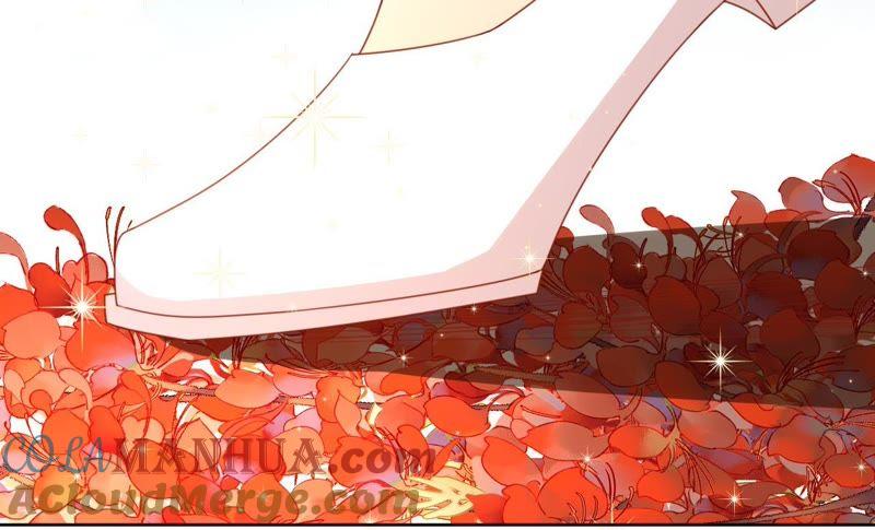 《宠妻狂魔：百万千金要沦陷》第100话 为你种的玫瑰 第79页