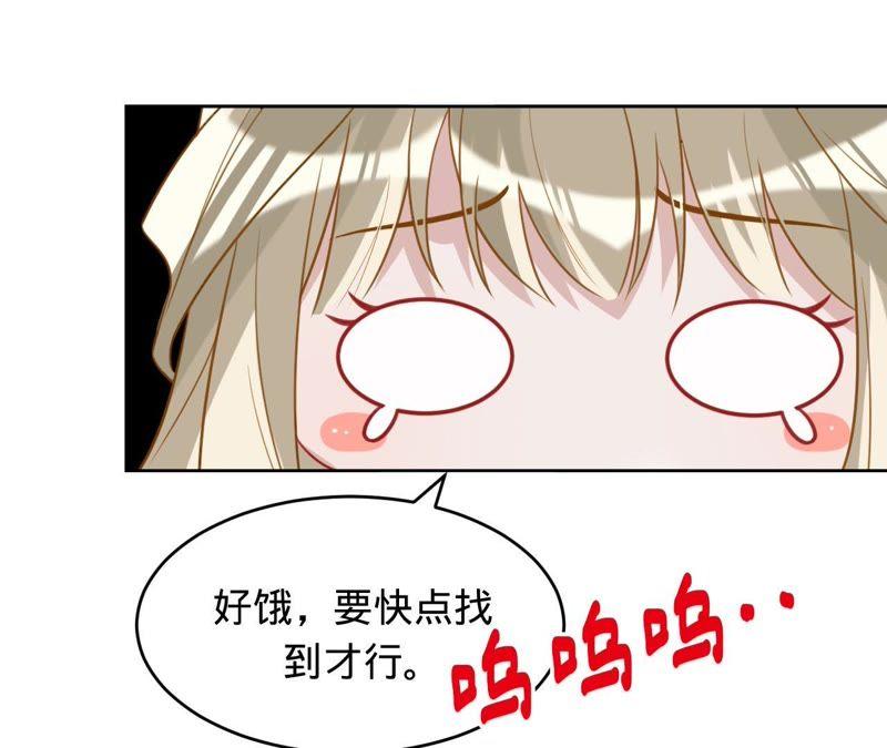 《宠妻狂魔：百万千金要沦陷》第101话 迟来的表白 第66页