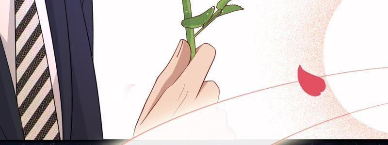 《宠妻狂魔：百万千金要沦陷》第101话 迟来的表白 第11页