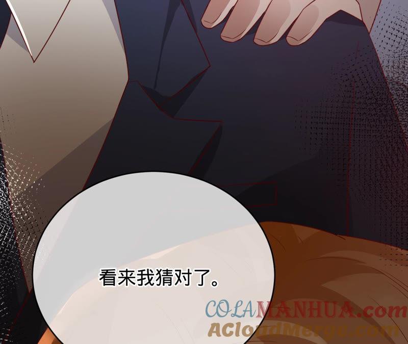 《宠妻狂魔：百万千金要沦陷》第145话 苏蜜就是田蜜儿 第13页