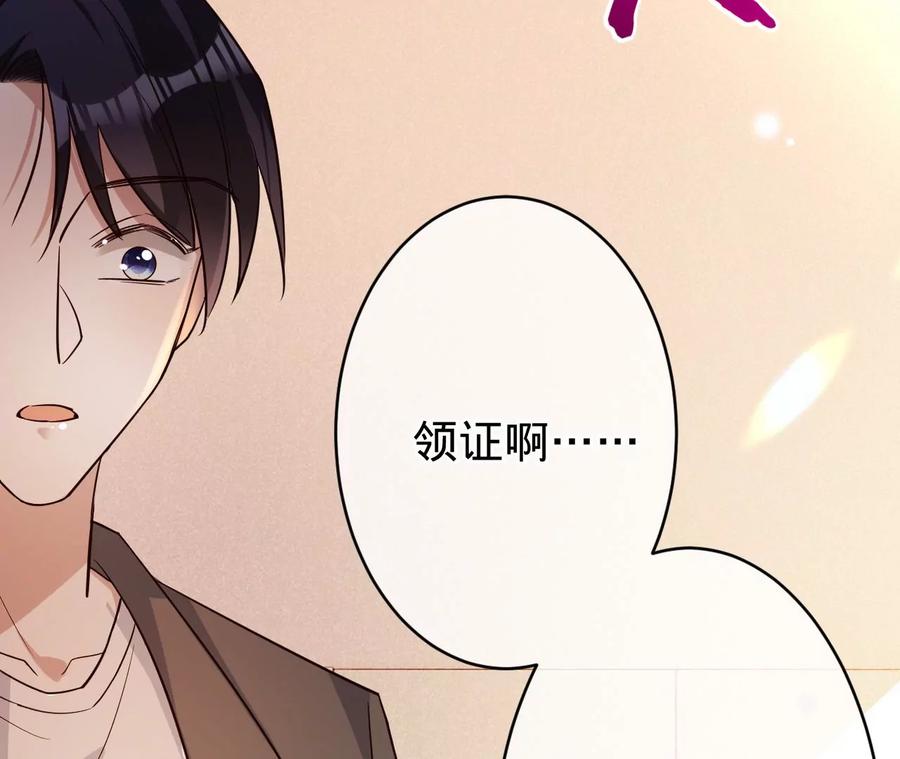 《宠妻狂魔：百万千金要沦陷》第217话 不领证？ 第15页