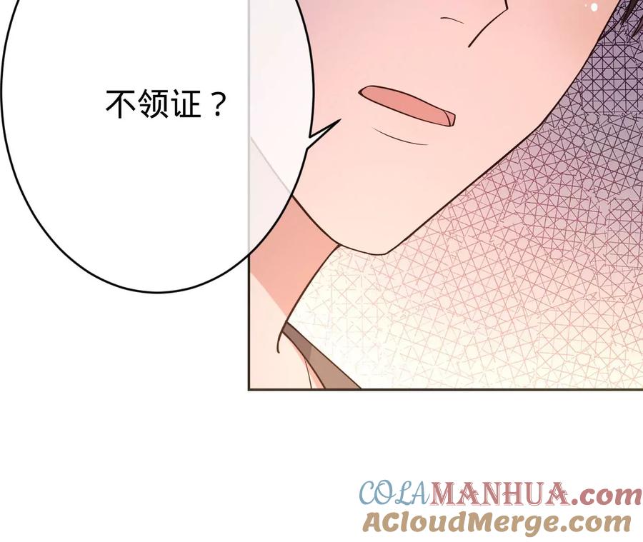 《宠妻狂魔：百万千金要沦陷》第217话 不领证？ 第19页
