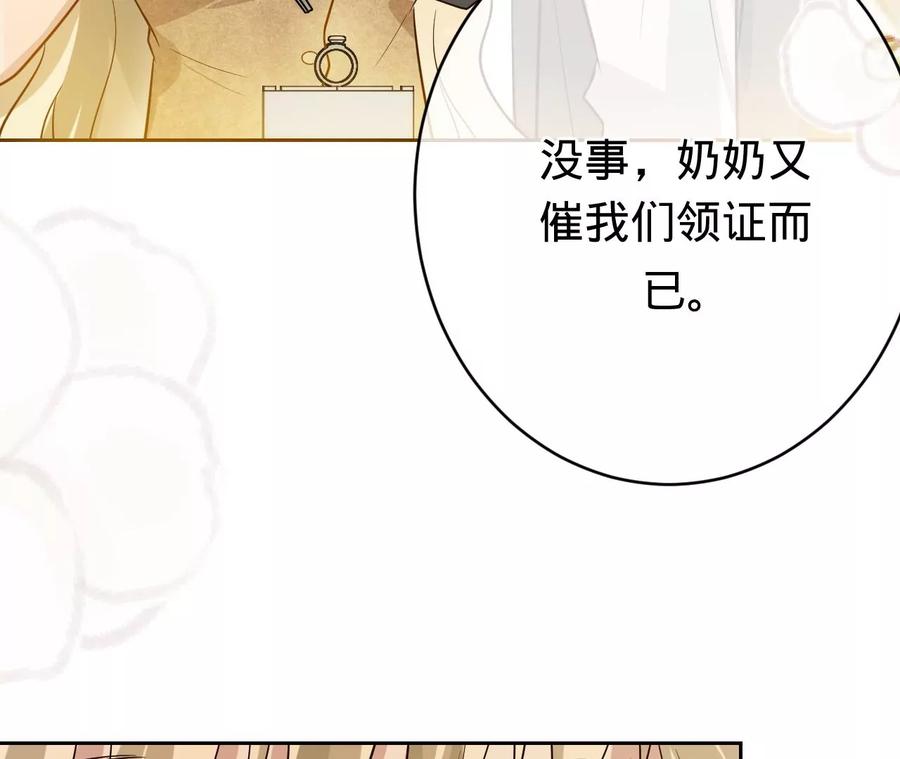 《宠妻狂魔：百万千金要沦陷》第217话 不领证？ 第12页