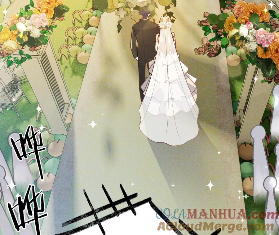 《宠妻狂魔：百万千金要沦陷》第225话 Yes，I do 第40页