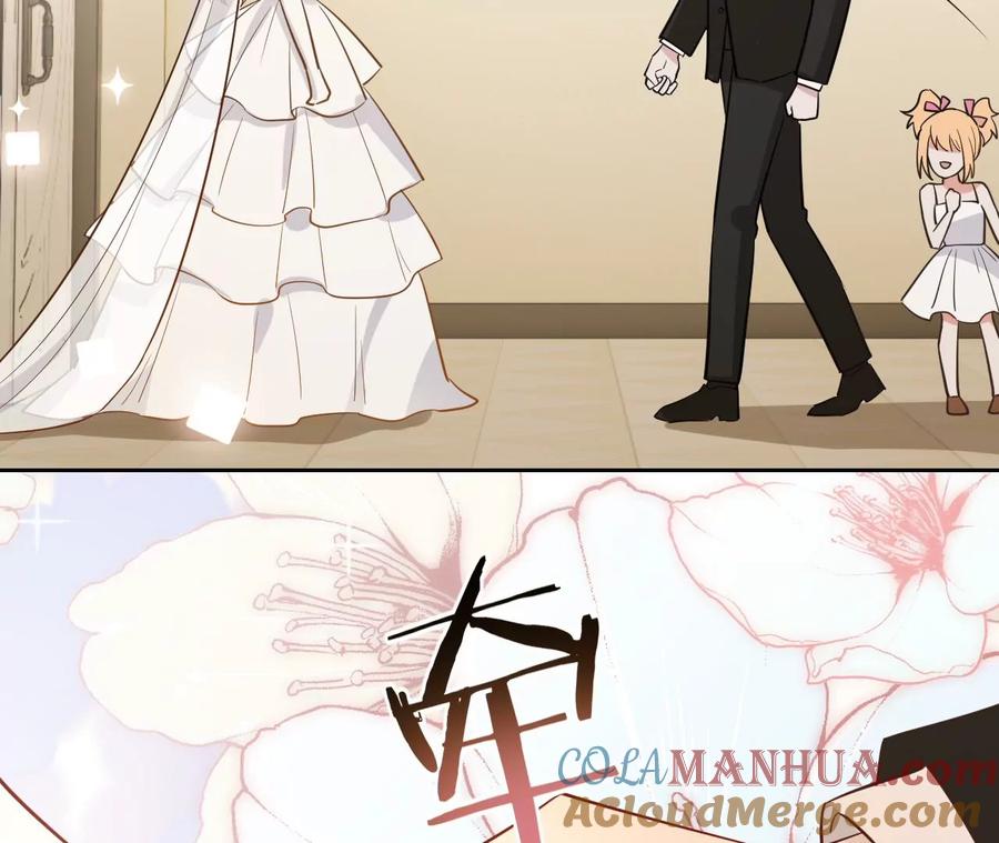 《宠妻狂魔：百万千金要沦陷》第228话 我反对这场婚礼 第46页