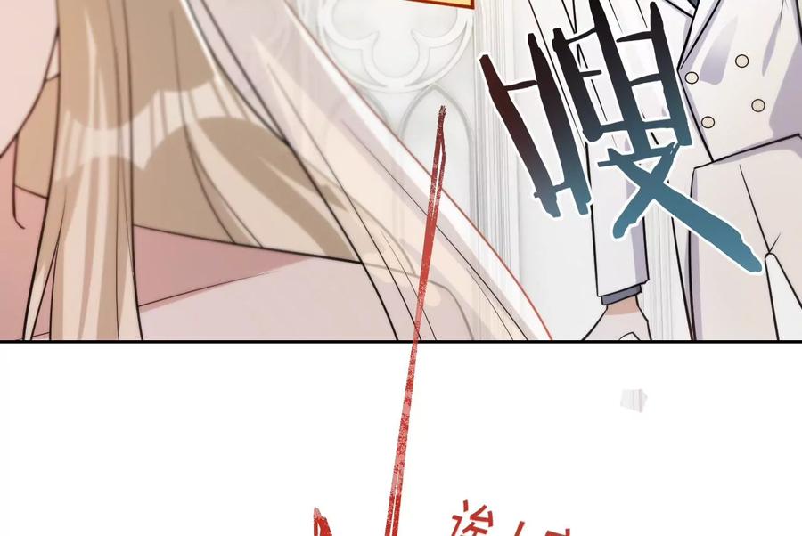 《宠妻狂魔：百万千金要沦陷》第228话 我反对这场婚礼 第14页