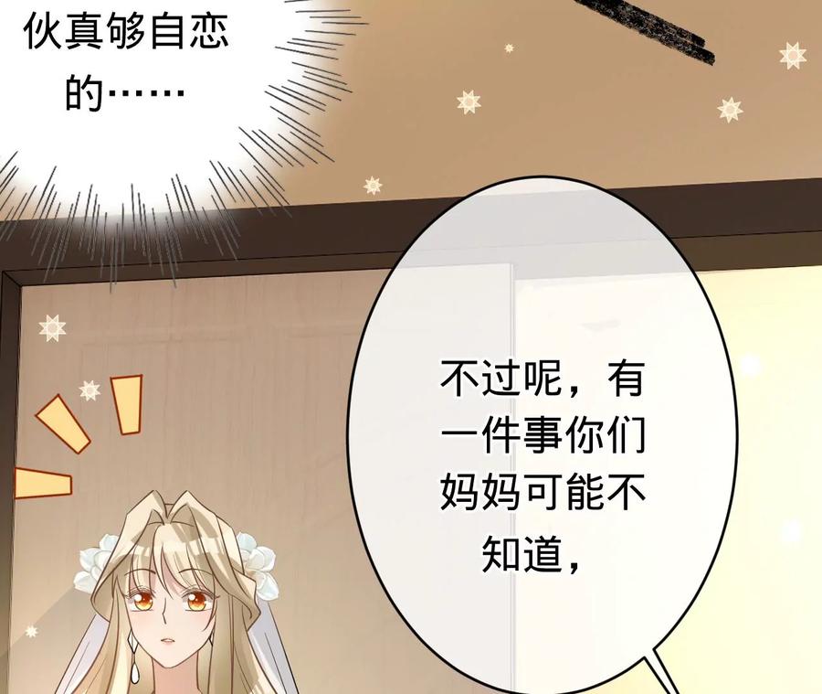 《宠妻狂魔：百万千金要沦陷》第228话 我反对这场婚礼 第29页