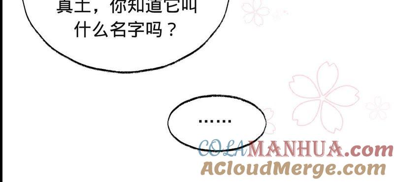 《宠妻狂魔：百万千金要沦陷》第41话 它叫小白？ 第28页