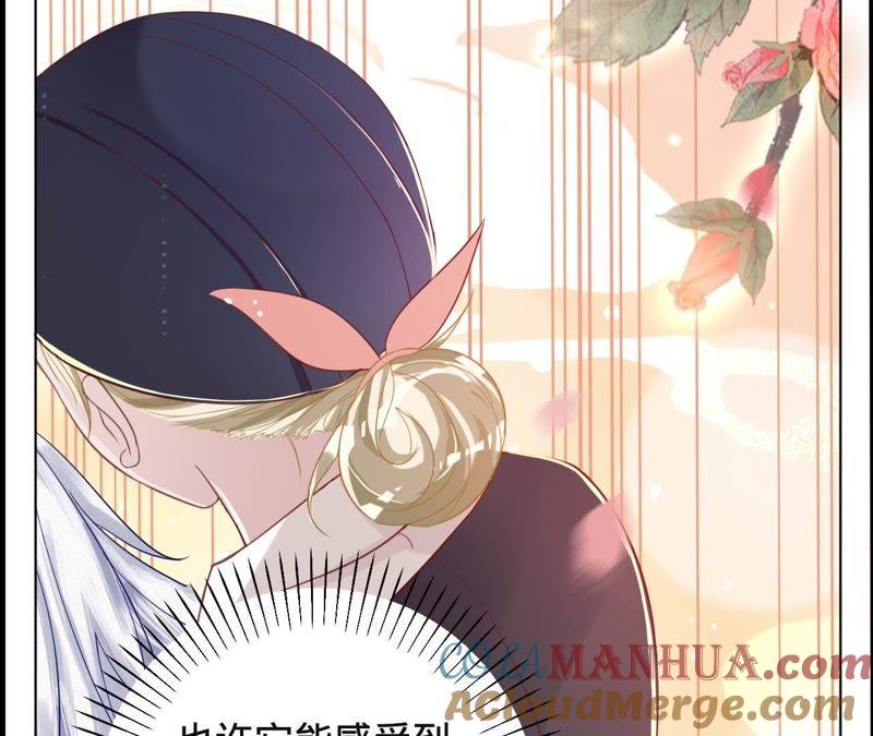 《宠妻狂魔：百万千金要沦陷》第41话 它叫小白？ 第25页