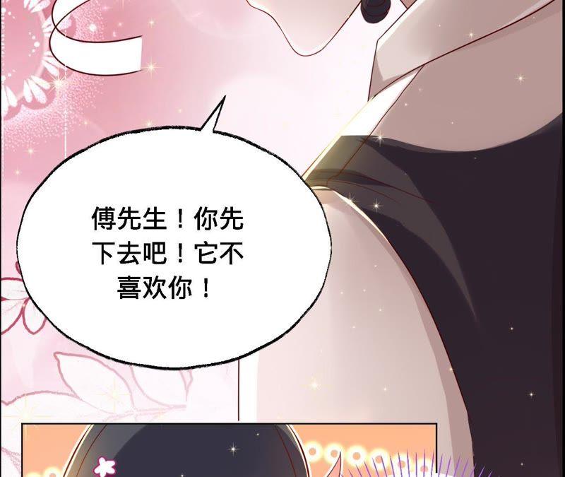 《宠妻狂魔：百万千金要沦陷》第41话 它叫小白？ 第42页