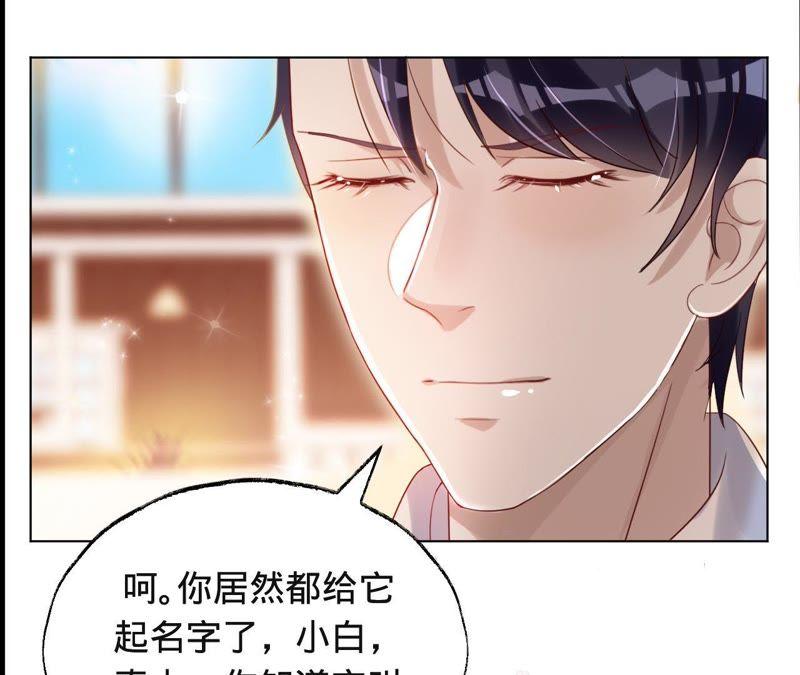 《宠妻狂魔：百万千金要沦陷》第41话 它叫小白？ 第27页