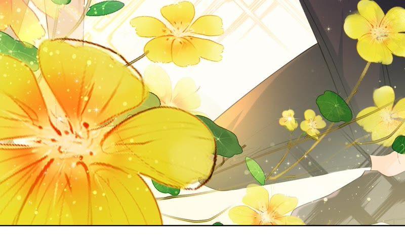 《宠妻狂魔：百万千金要沦陷》第66话 童话里的王子和公主 第68页