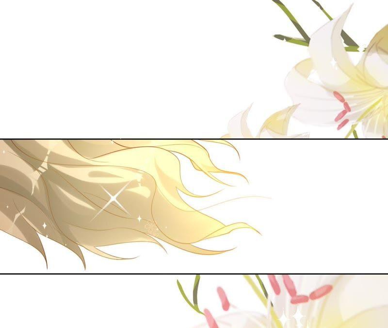 《宠妻狂魔：百万千金要沦陷》第66话 童话里的王子和公主 第69页