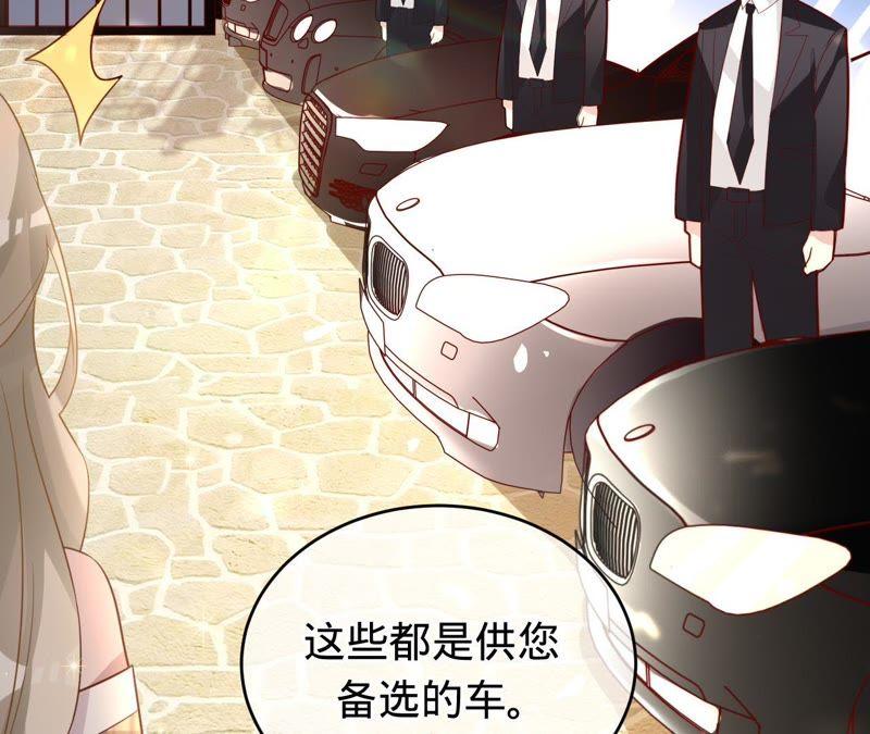 《宠妻狂魔：百万千金要沦陷》第68话 这些都是少爷吩咐的 第12页