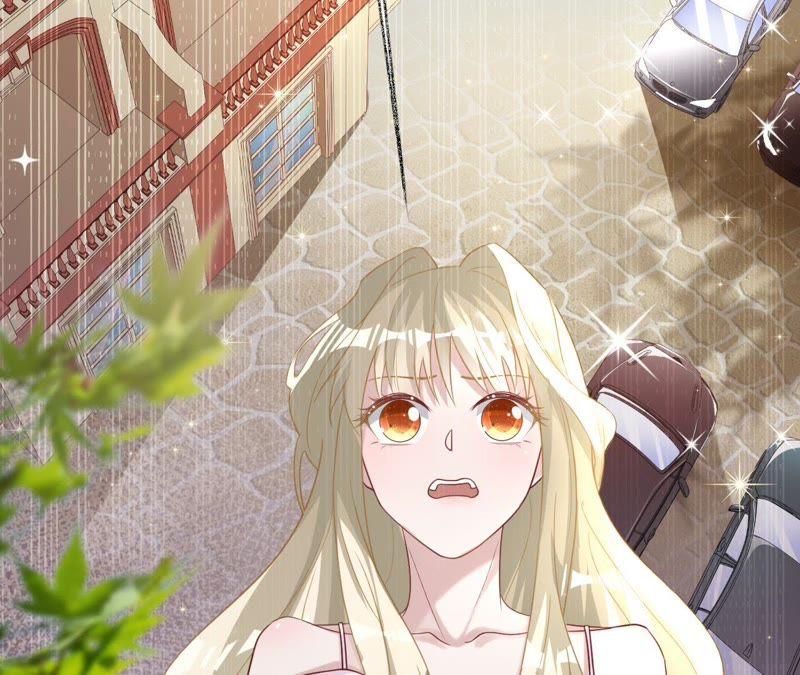《宠妻狂魔：百万千金要沦陷》第68话 这些都是少爷吩咐的 第6页