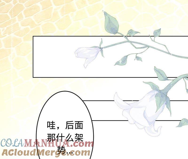 《宠妻狂魔：百万千金要沦陷》第68话 这些都是少爷吩咐的 第31页