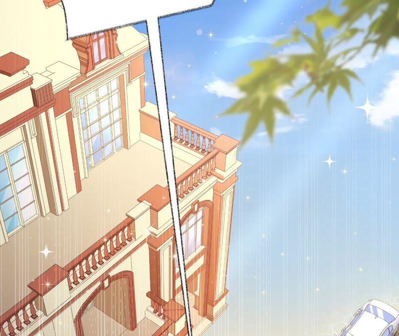 《宠妻狂魔：百万千金要沦陷》第68话 这些都是少爷吩咐的 第5页