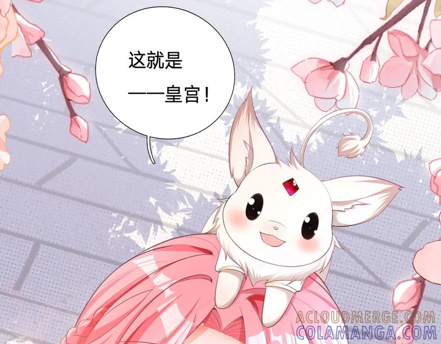 《宠入心扉》第4话 第7页